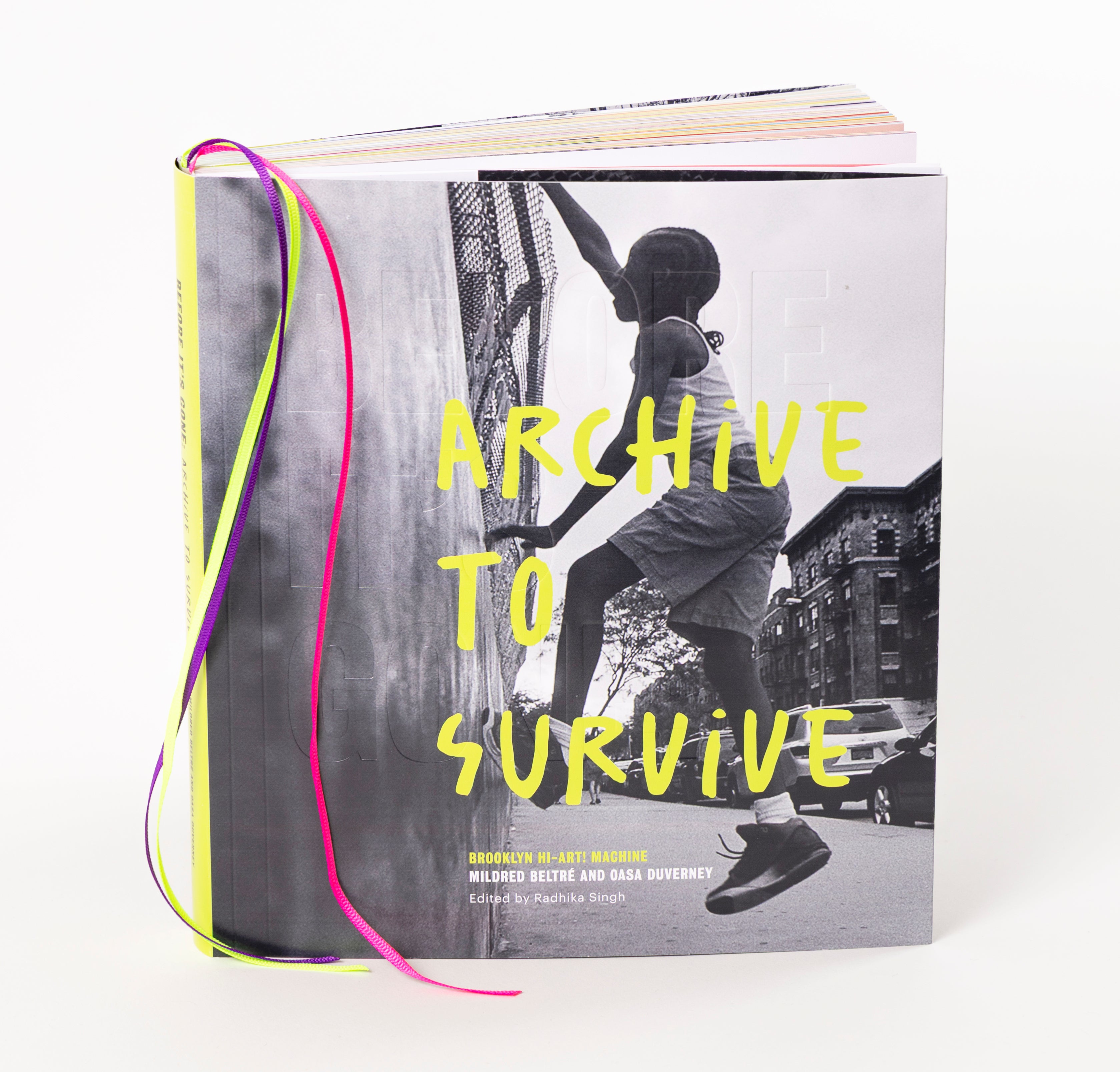 BEFORE IT'S GONE: ARCHIVE TO SURVIVE